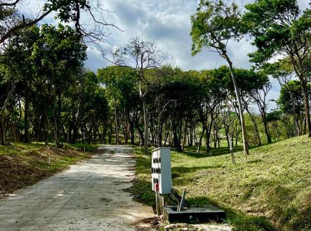 Luna Azul Lot#38, Roatan