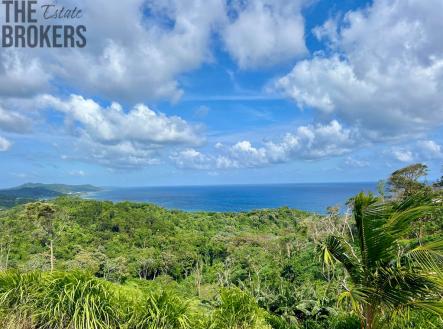 Luna Azul Lot#38, Roatan