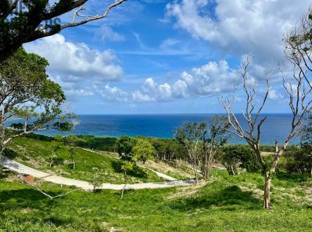 Luna Azul Lot#38, Roatan