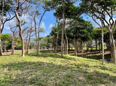 Luna Azul Lot#38, Roatan