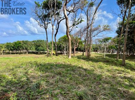 Luna Azul Lot#38, Roatan