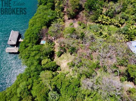 Atocha Lot 1&2 First Bight, Roatan