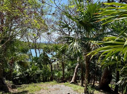 Atocha Lot 1&2 First Bight, Roatan