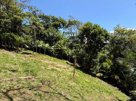 Atocha Lot 1&2 First Bight, Roatan