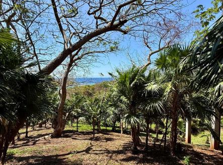 Atocha Lot 1&2 First Bight, Roatan