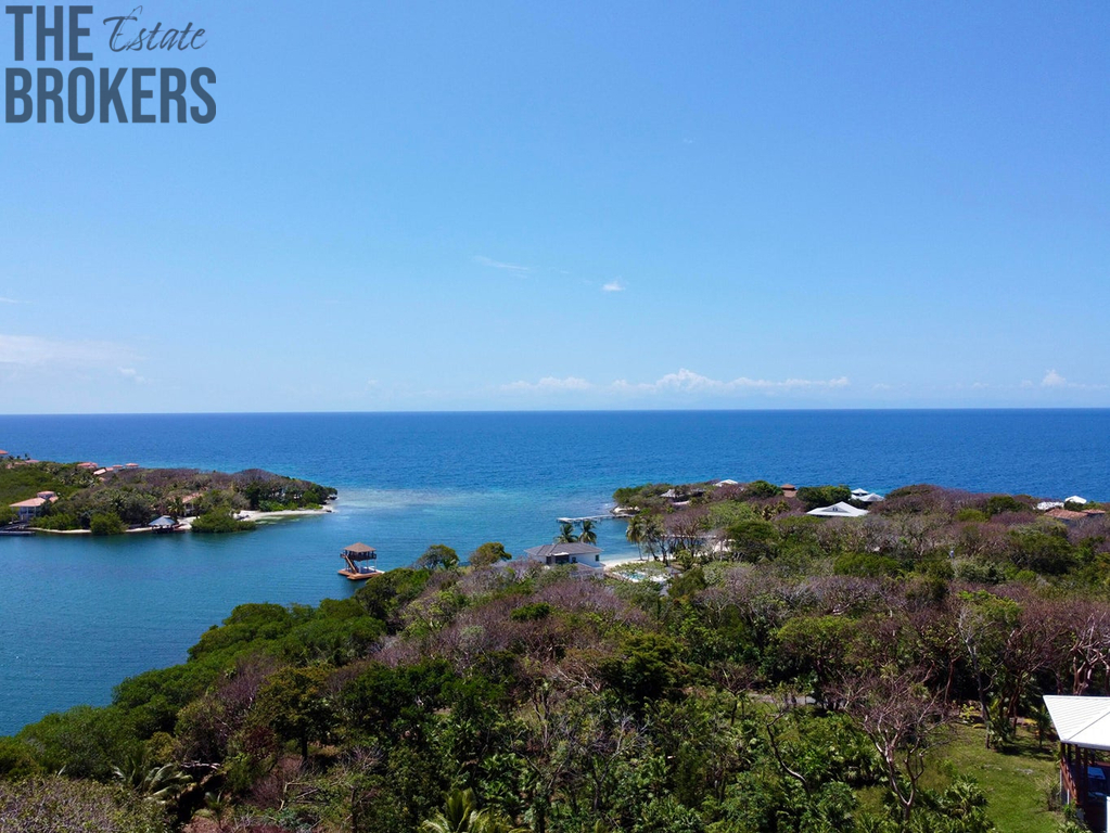 Atocha Lot 1&2 First Bight, Roatan