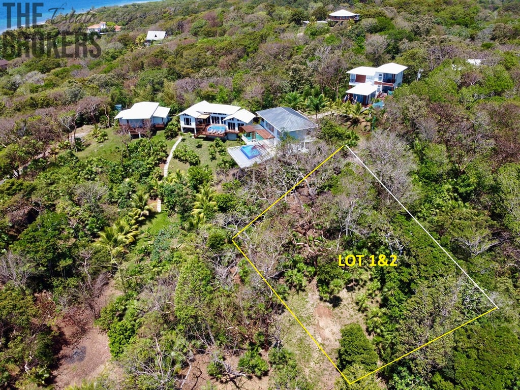 Atocha Lot 1&2 First Bight, Roatan