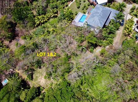 Atocha Lot 1&2 First Bight, Roatan