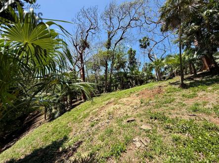 Atocha Lot 1&2 First Bight, Roatan