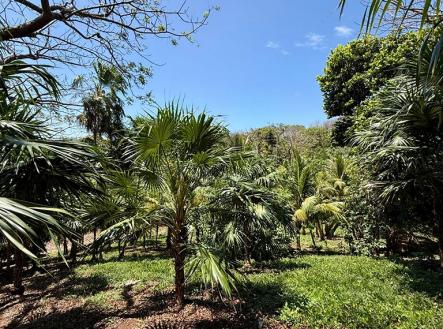 Atocha Lot 1&2 First Bight, Roatan