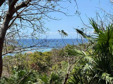 Atocha Lot 1&2 First Bight, Roatan