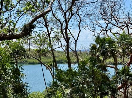 Atocha Lot 1&2 First Bight, Roatan