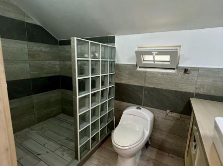 Blue House Czech Village, Roatan