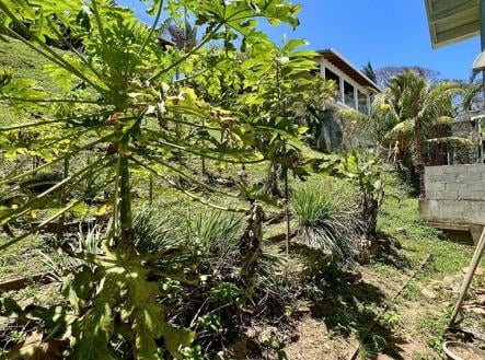 Blue House Czech Village, Roatan