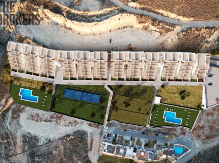 Orchid Casel de Paradise.