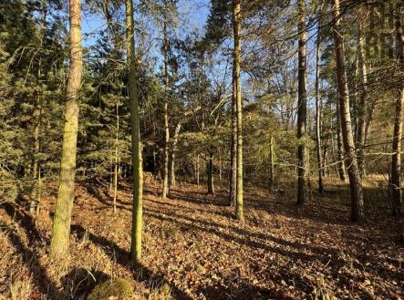 Prodej pozemku, les, 8 225 m²