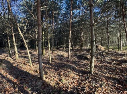 Prodej pozemku, les, 8 225 m²