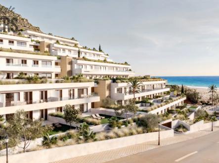 Orchid Casel de Paradise.