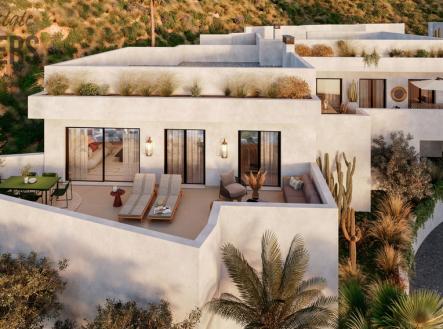 Orchid Casel de Paradise.