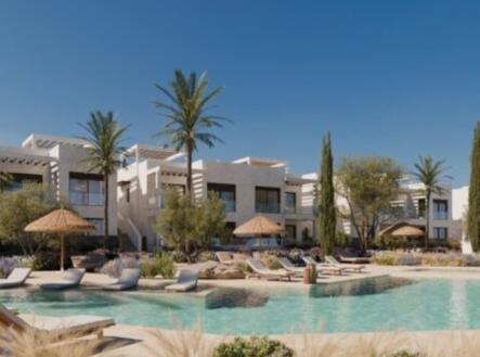 Orchid Casel de Paradise.