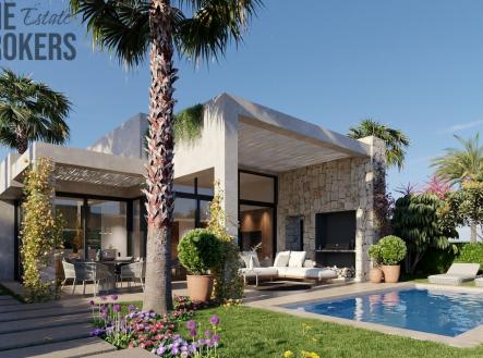 Orchid Casel de Paradise.