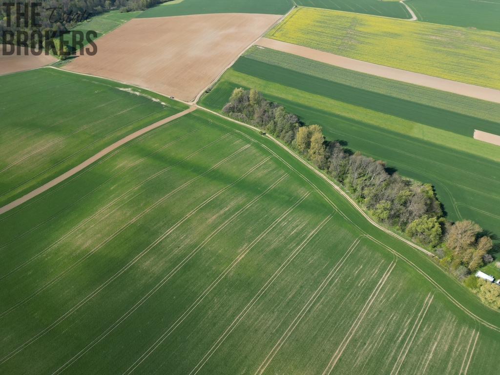 dji-0807.jpg