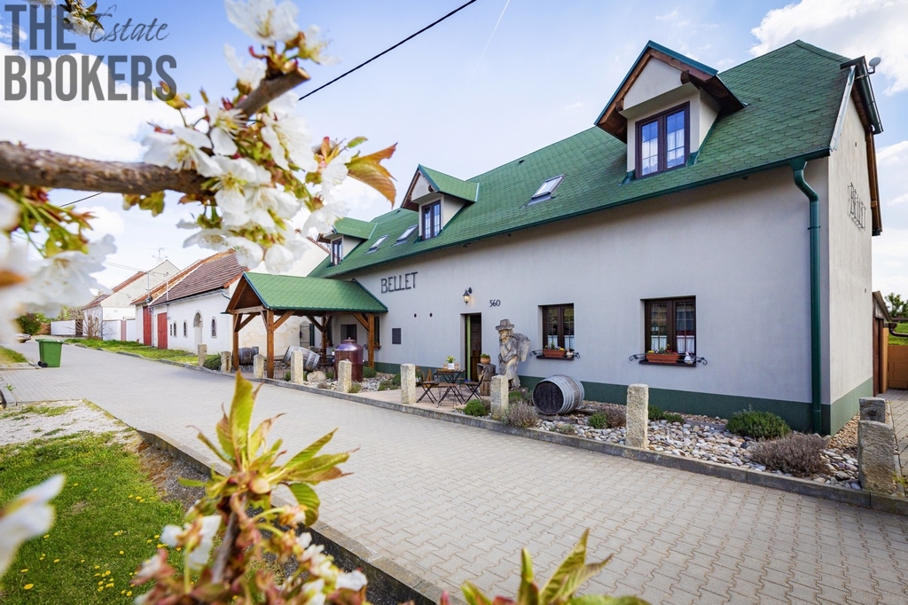 morava-penzion-bellet-12-penize-ubytovani-pokoje.jpg