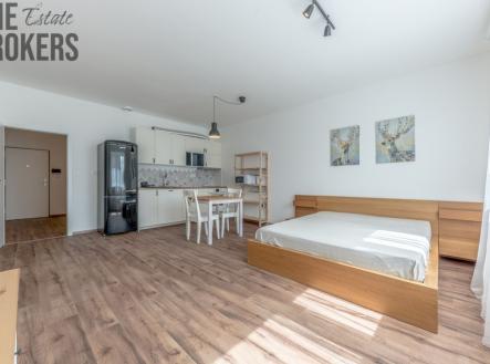 Pronájem bytu, 1+kk, 41 m² obrázek