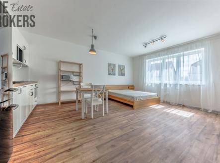 Pronájem bytu, 1+kk, 41 m²