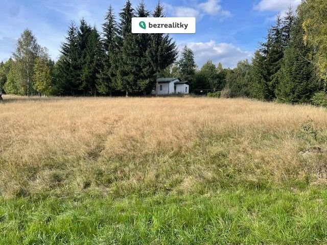 1717425337-qyvvnpdkpe-img-0266-1