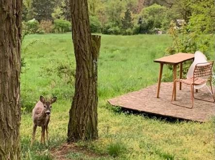 Prodej pozemku pro bydlení, 2 112 m²