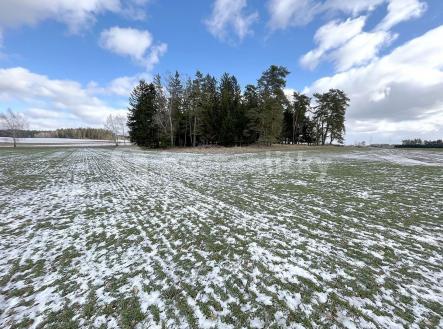 Prodej - pozemek, les, 12 416 m²