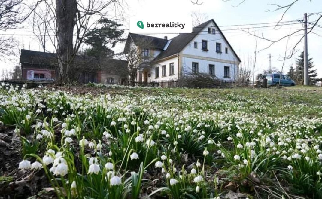 1736276187-xkvsmrtvva-1736276051583