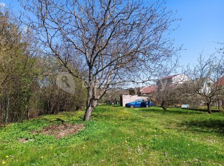 Prodej - pozemek, zahrada, 800 m²
