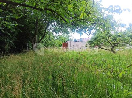 Prodej - pozemek, zahrada, 800 m²