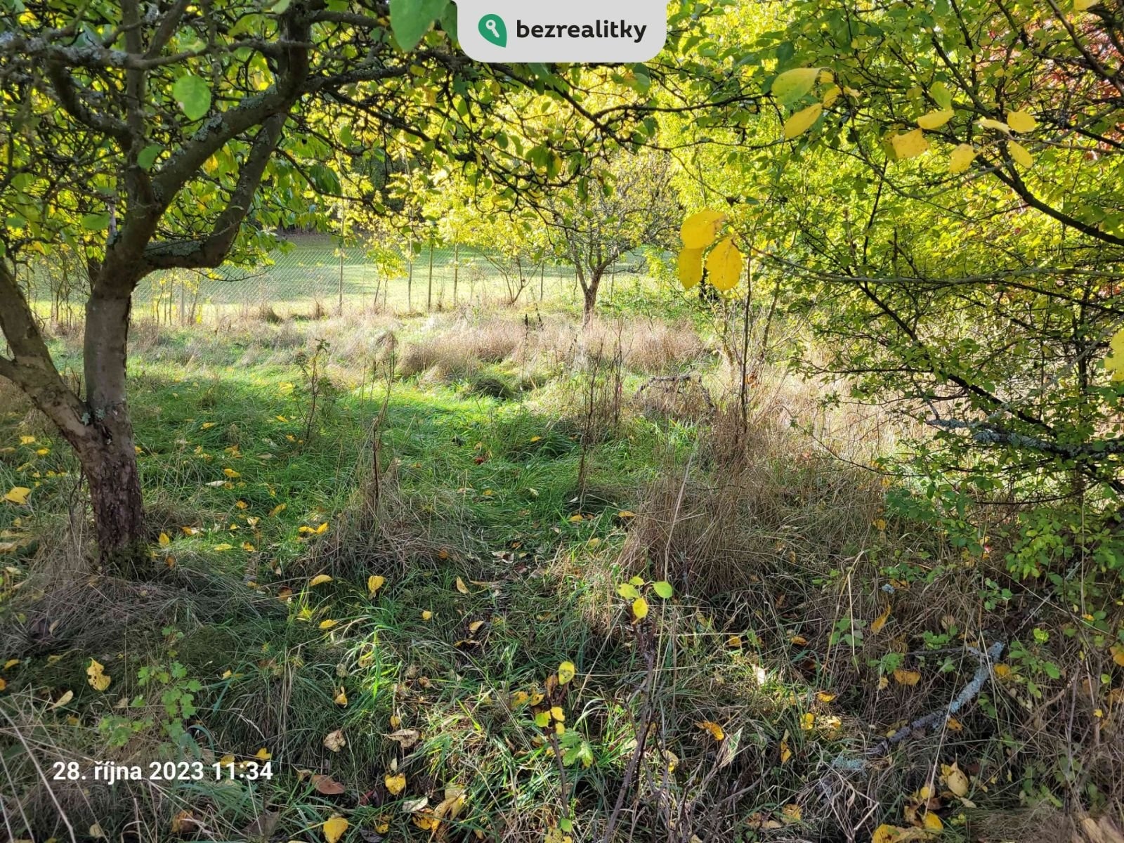 1723552414-rabbgcxfkb-20231028-113414