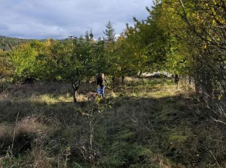 Prodej pozemku pro bydlení, 1 161 m²