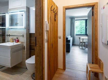 Prodej bytu, 1+kk, 31 m²