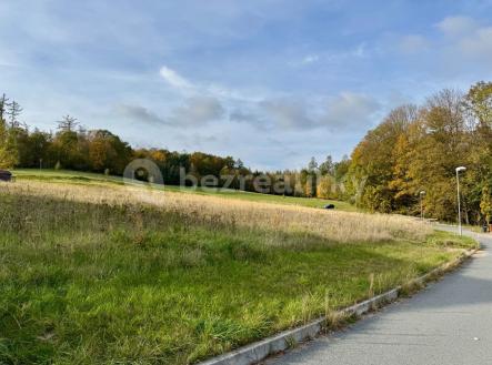 Prodej - pozemek pro bydlení, 2 667 m²