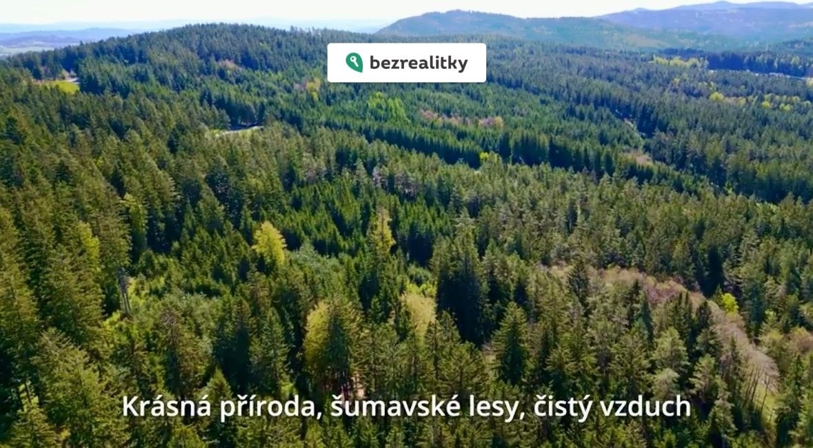 1757800447-pitruxitxf-11