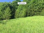 Prodej pozemku, trvalý travní porost, 3 100 m²