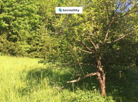 Prodej pozemku, trvalý travní porost, 3 100 m²