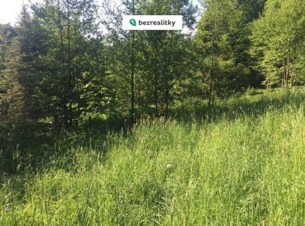 Prodej pozemku, trvalý travní porost, 3 100 m²