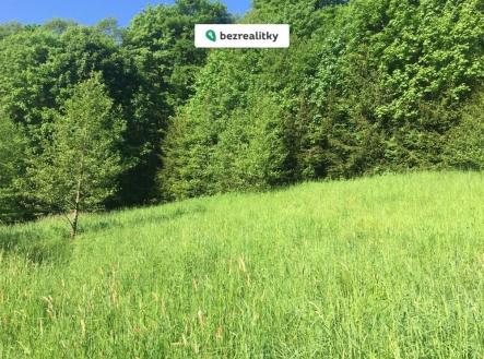 Prodej pozemku, trvalý travní porost, 3 100 m² obrázek