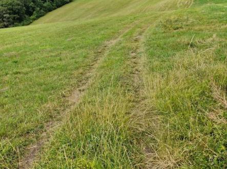 Prodej pozemku, trvalý travní porost, 1 672 m²