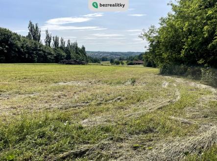 Prodej - pozemek pro bydlení, 10 000 m²