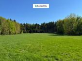 Prodej pozemku, trvalý travní porost, 16 750 m²
