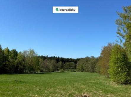 Prodej pozemku, trvalý travní porost, 16 750 m²