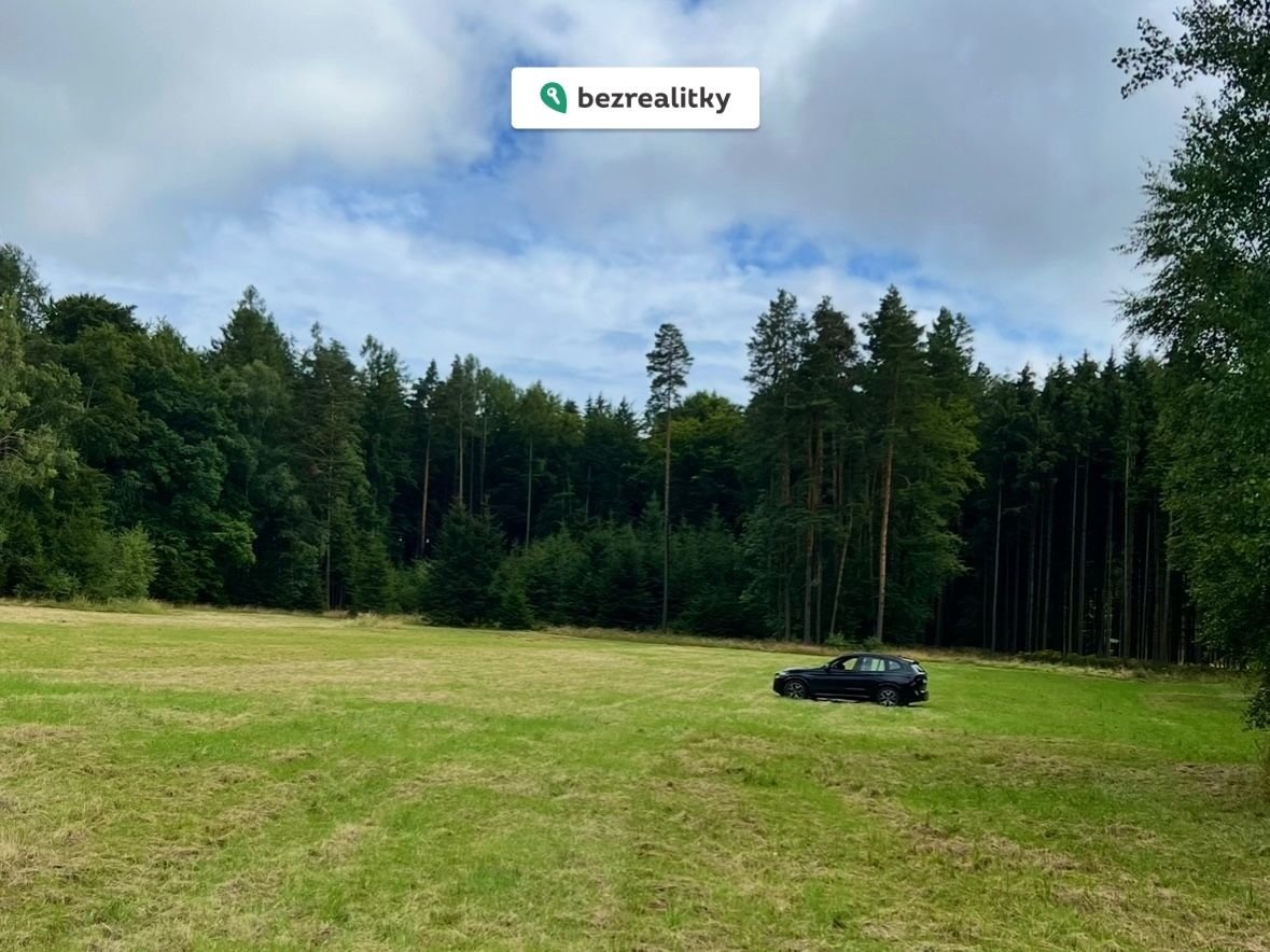 1750282020-wuvvwknsit-img-3029