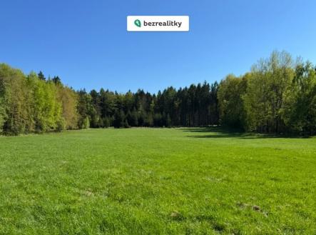Prodej pozemku, trvalý travní porost, 16 750 m²